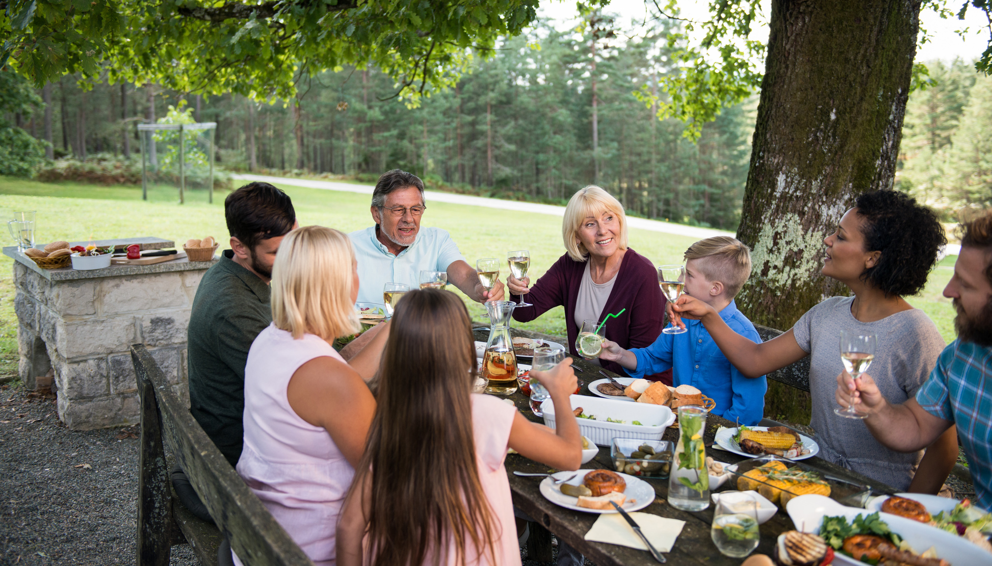 Family Picnic Party